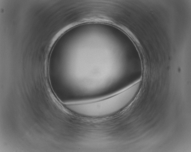 X0000081631246200701151112