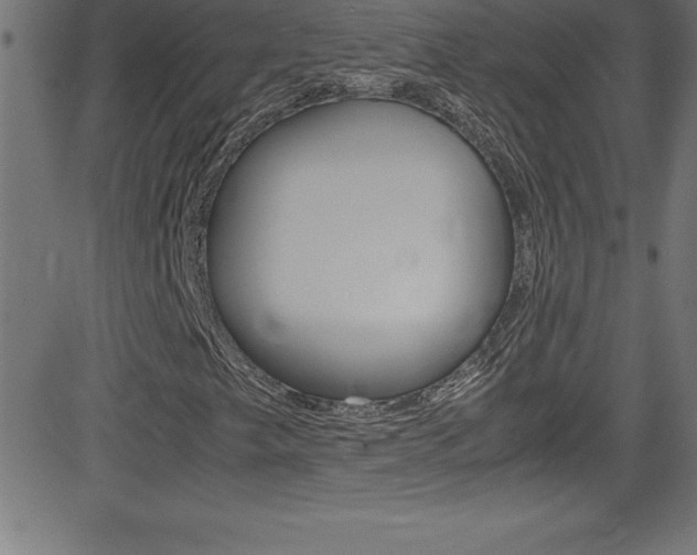 X0000081631249200701151111