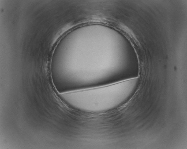 X0000081631260200701151111
