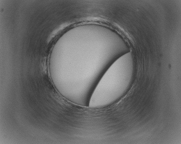 X0000081631262200701151111