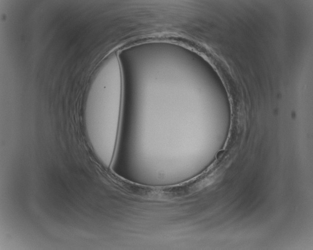 X0000081631265200701151111