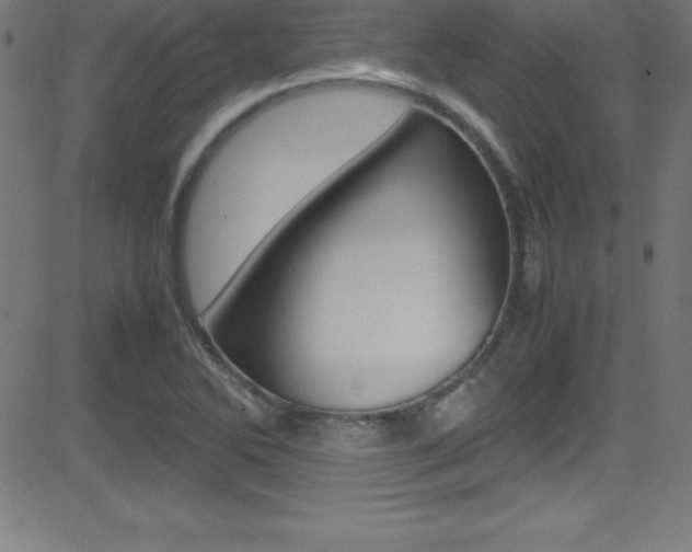 X0000081631270200701151111