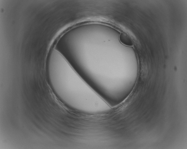 X0000081631272200701151111