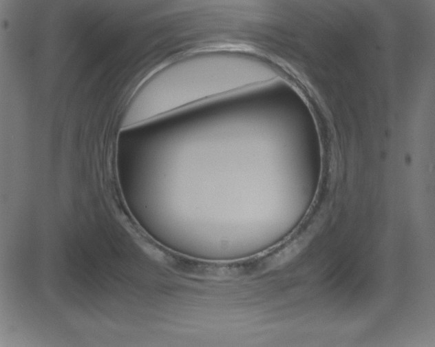 X0000081631273200701151111