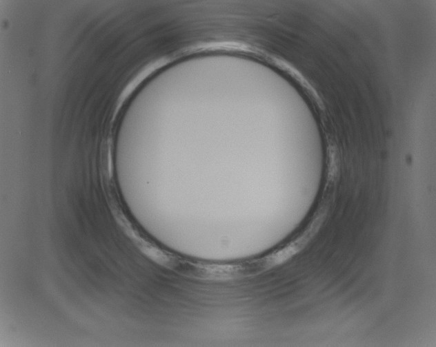 X0000081631274200701151111