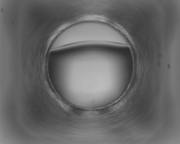 X0000081631277200701151111