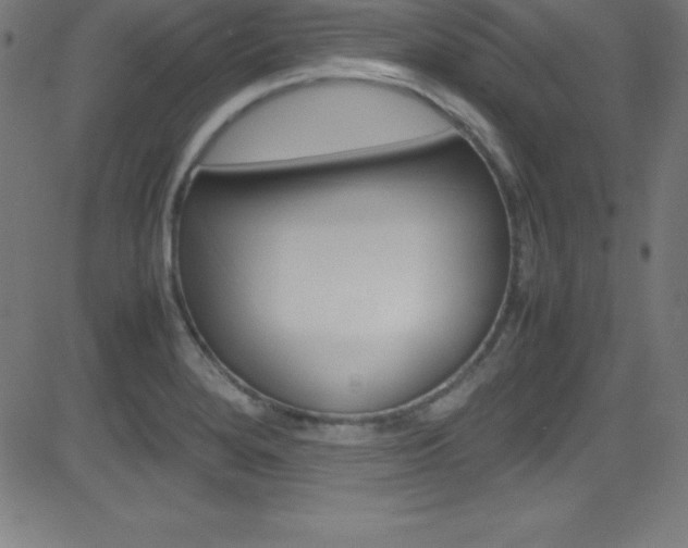 X0000081631280200701151111