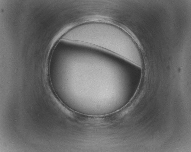 X0000081631285200701151111