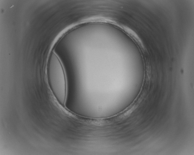 X0000081631288200701151110