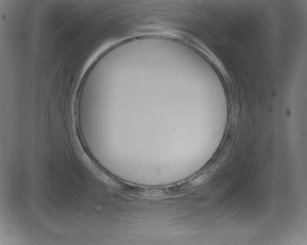 X0000081631291200701151110