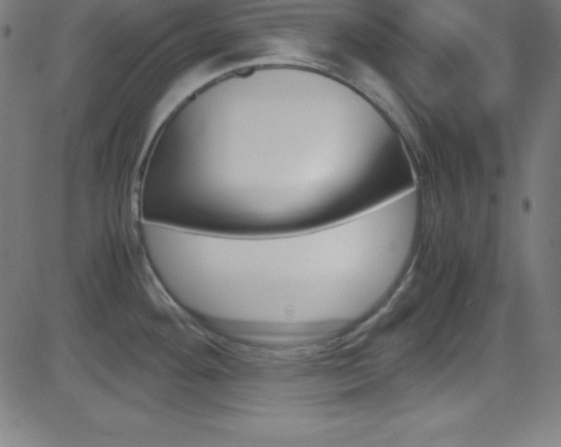 X0000081631292200701151110