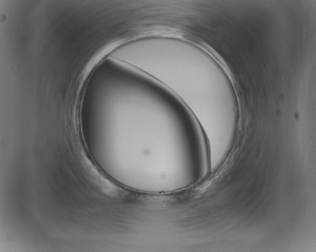 X0000081631293200701151110