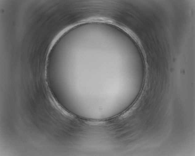 X0000081631296200701151110