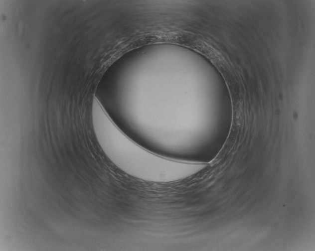 X0000081631298200701151110