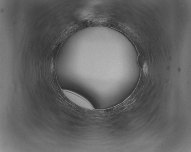 X0000081631299200701151110