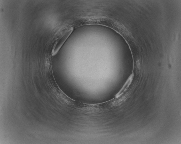 X0000081631300200701151110