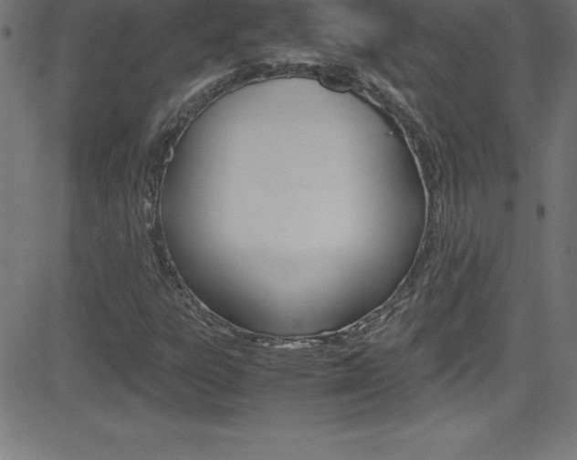 X0000081631303200701151110