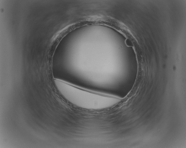 X0000081631304200701151110