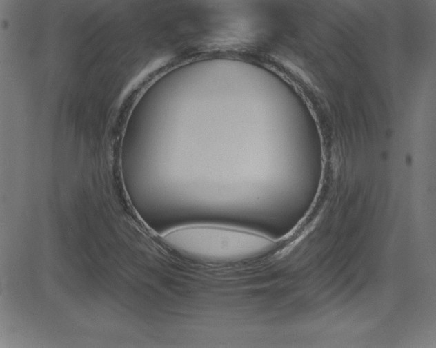 X0000081631309200701151110