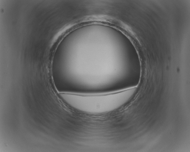 X0000081631312200701151110