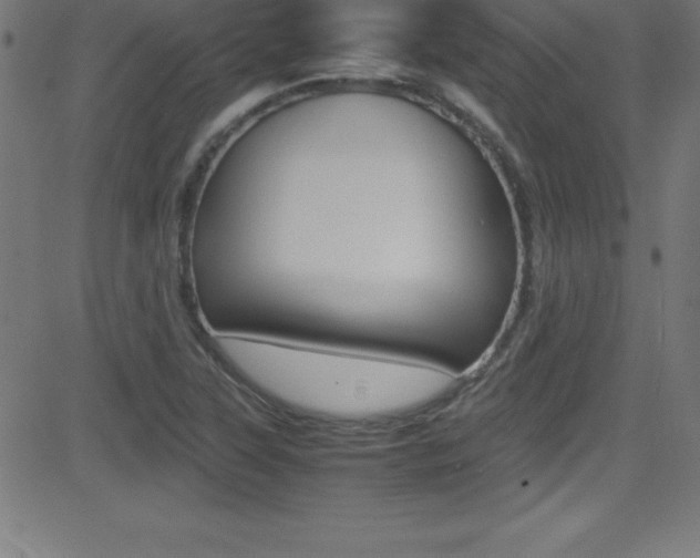 X0000081631315200701151110