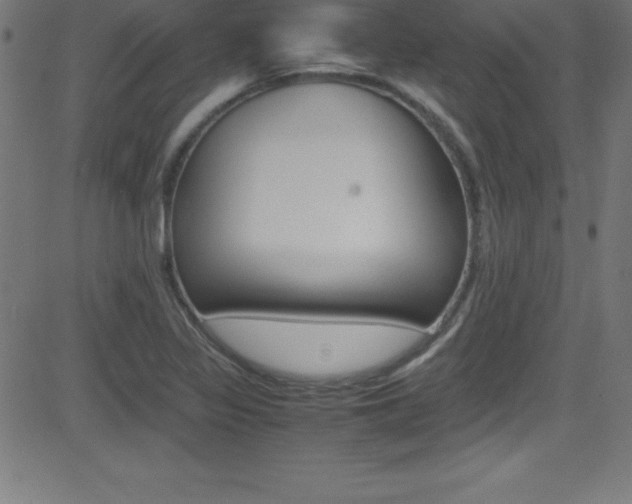 X0000081631317200701151110
