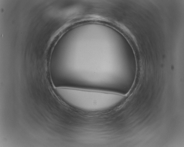 X0000081631318200701151110
