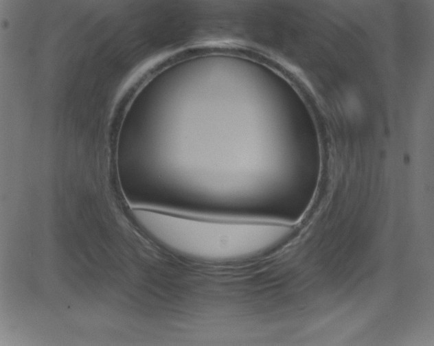 X0000081631319200701151110