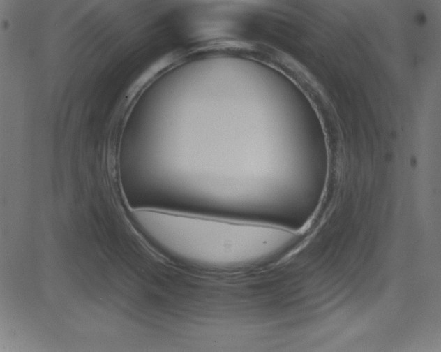 X0000081631321200701151110