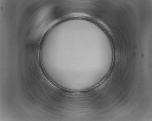 X0000081631322200701151110
