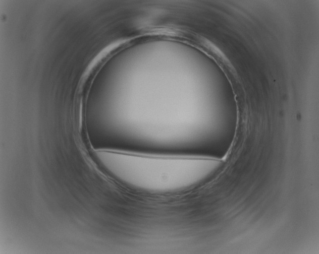 X0000081631323200701151110
