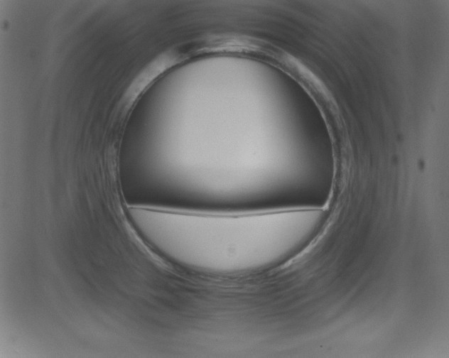 X0000081631329200701151110