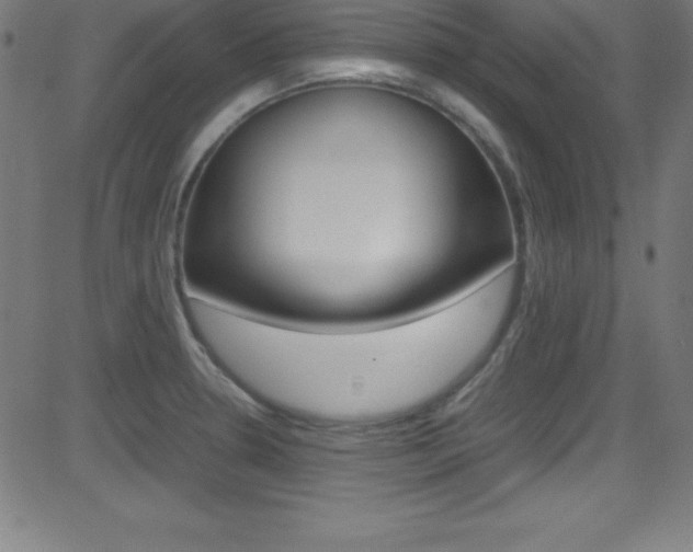 X0000081631330200701151110