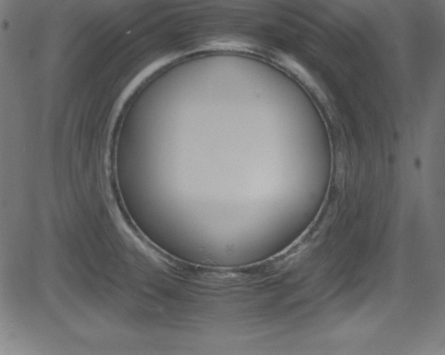 X0000081631331200701151110