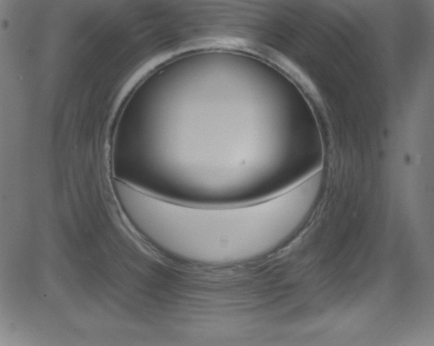 X0000081631332200701151110