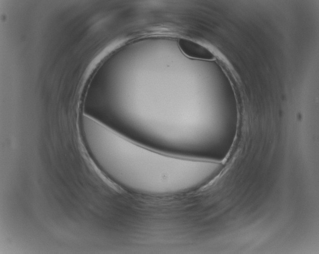 X0000081631333200701151110