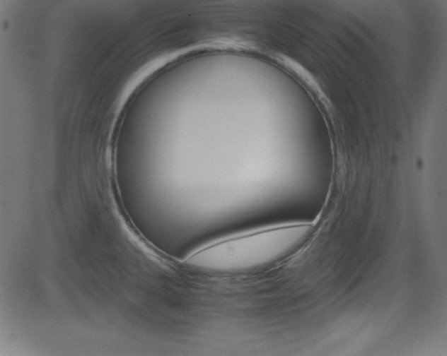 X0000081631335200701151110