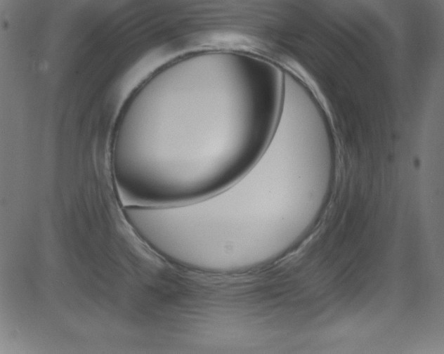 X0000081631336200701151110