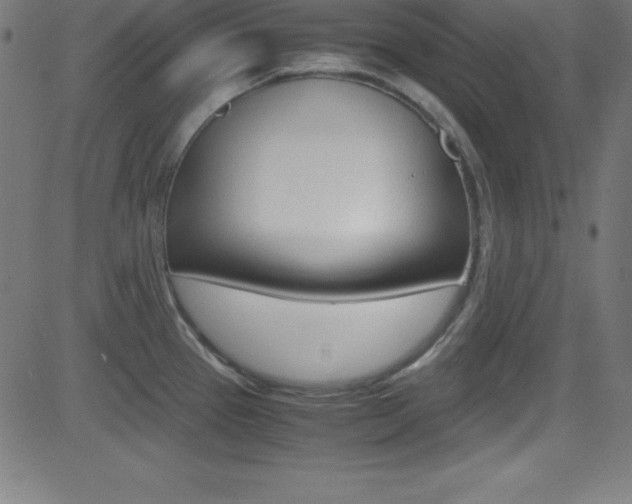 X0000081631337200701151110