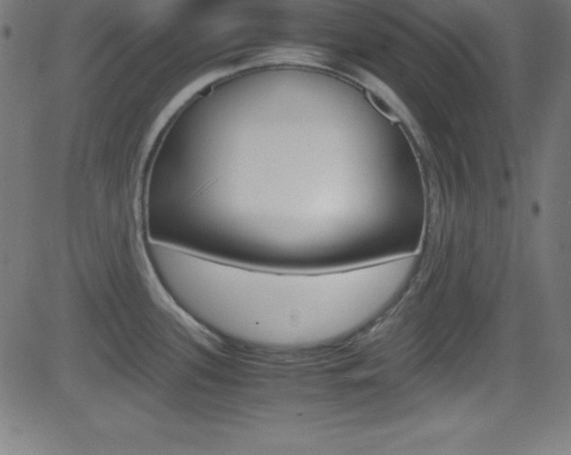 X0000081631339200701151110