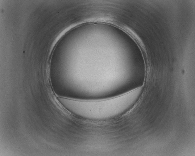 X0000081631340200701151110