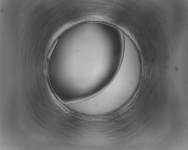 X0000081631342200701151110