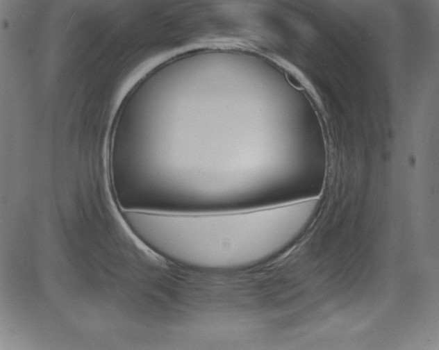 X0000081631343200701151110