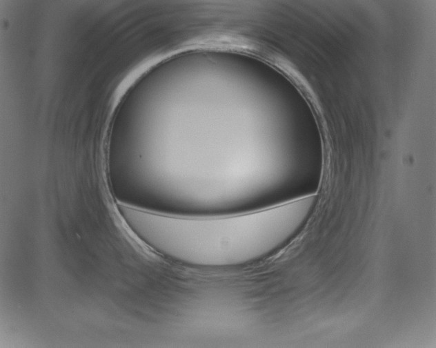 X0000081631344200701151110