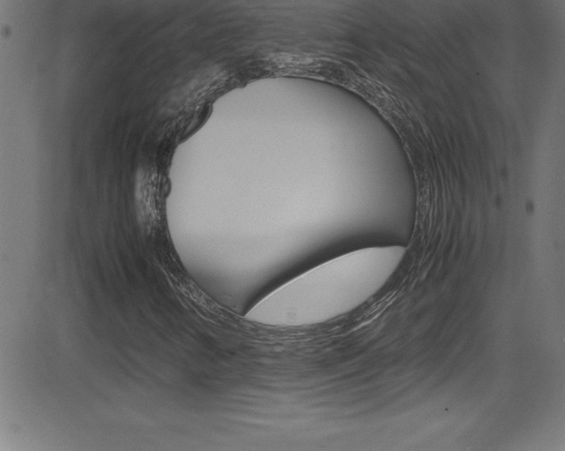 X0000081631346200701151110