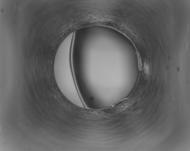 X0000081631348200701151110