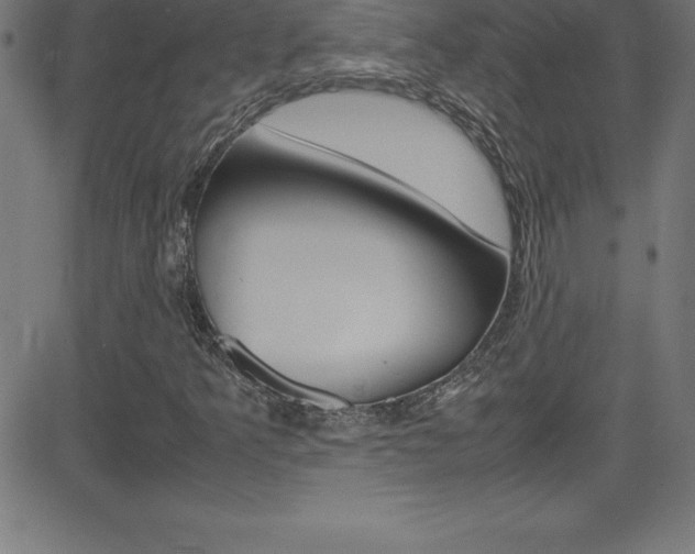 X0000081631349200701151109