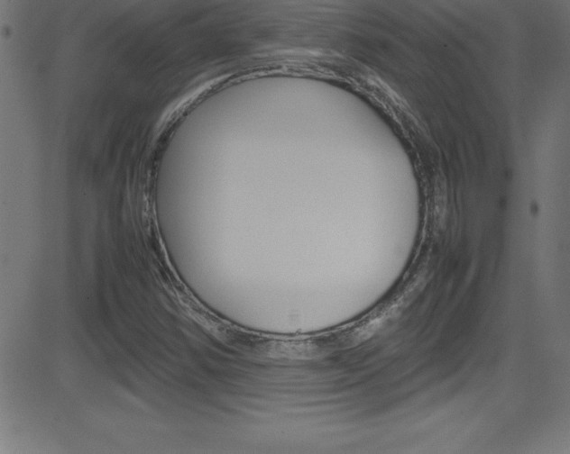 X0000081631354200701151109