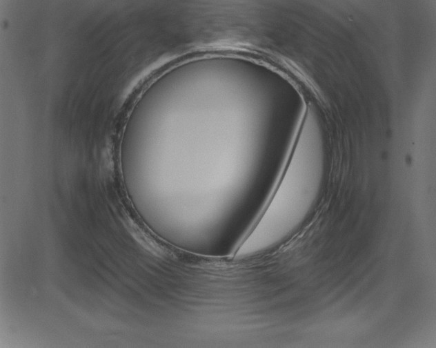 X0000081631356200701151109