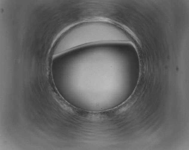 X0000081631364200701151109